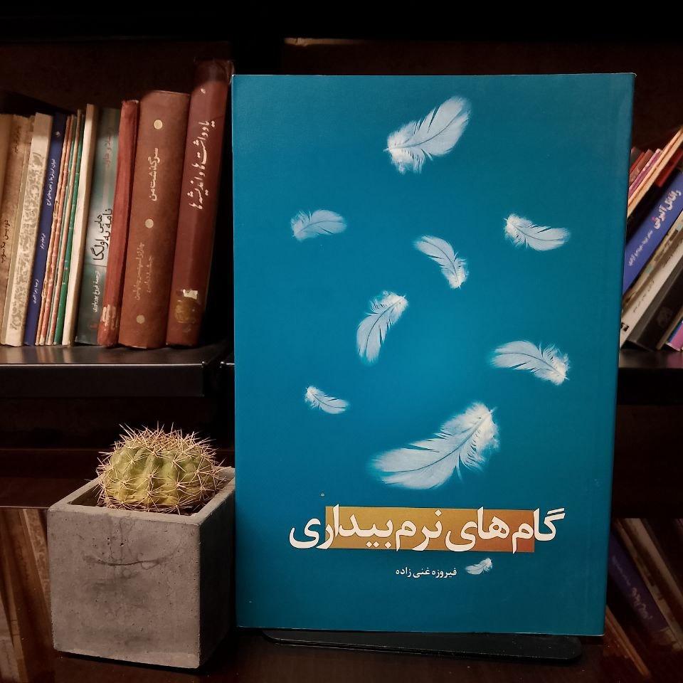 گام های نرم بیداری /فوق العاده نایاب