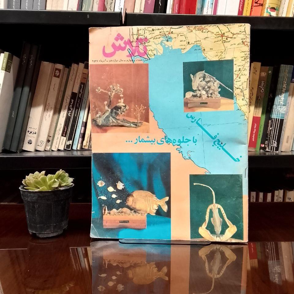 مجله تلاش » فوق العاده نایاب و دیده نشده