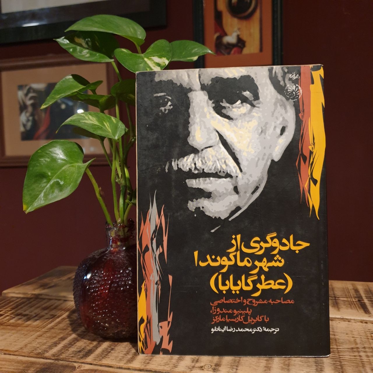 جادوگری از شهر ماکوندا(عطر گایانا)