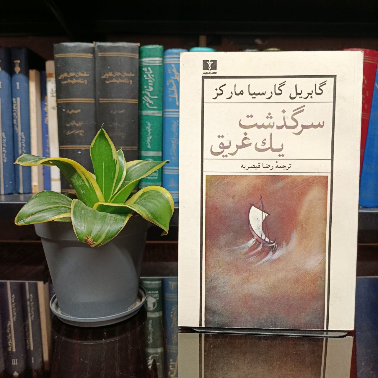 سرگذشت یک غریق