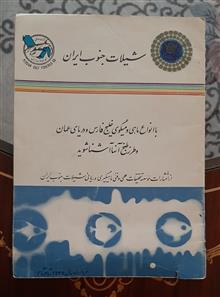 شیلات