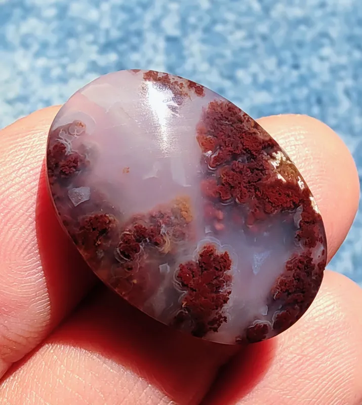 نگین عقیق شجر گل سرخ