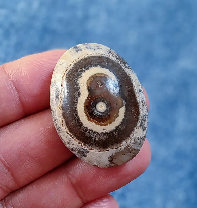 نگین باباقوری دو چشم