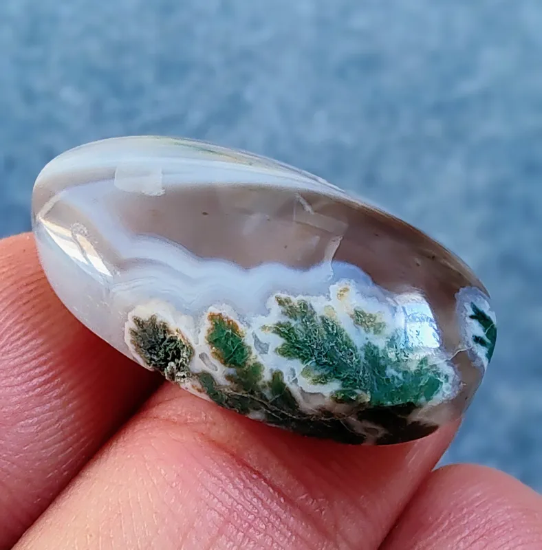 نگین عقیق شجر سبز کمیاب