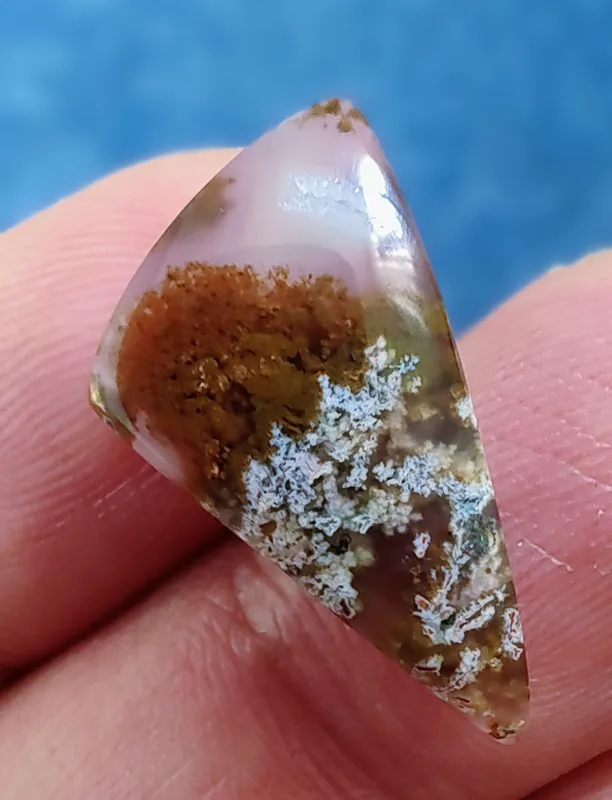 نگین عقیق شجر بهاری