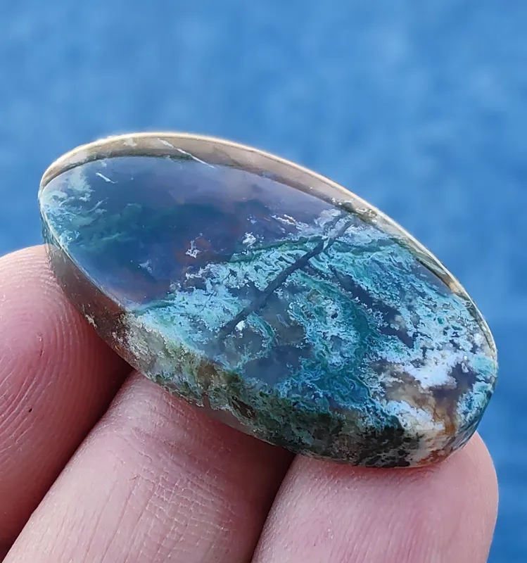 نگین عقیق شجر منظره جنگلی