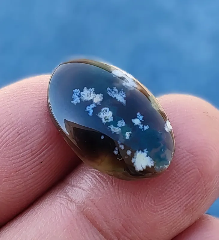 نگین شجر بهاری خرمایی