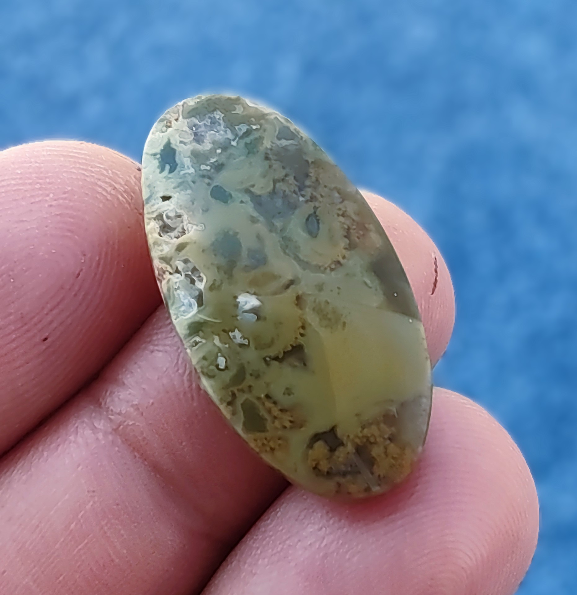 نگین جاسپر شجر منظره