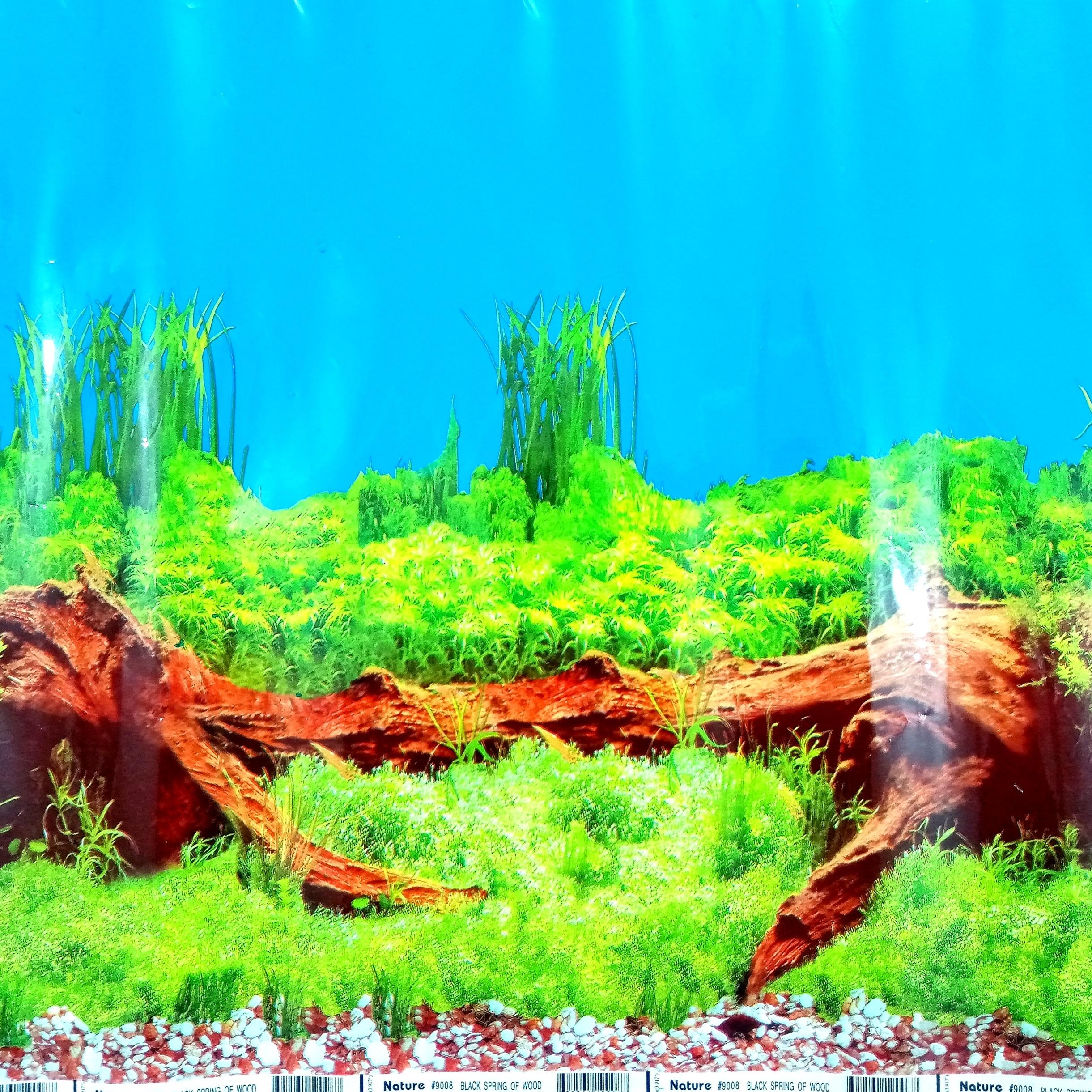 بک گراند ضدآب آکواریوم-2 رو