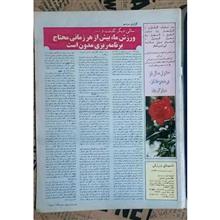دنیای