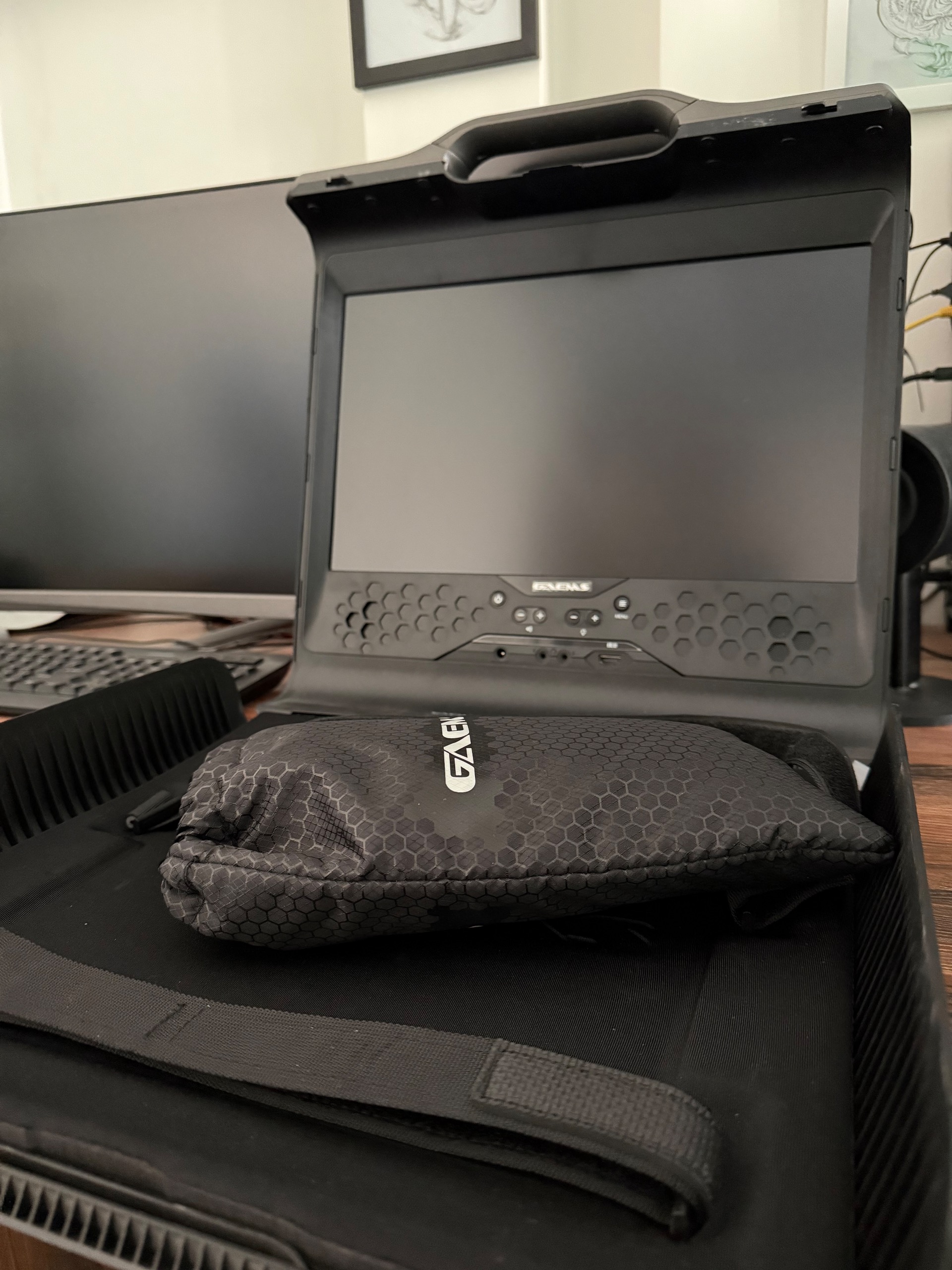 مانیتور قابل حمل حرفه ای