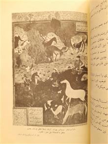 کمال