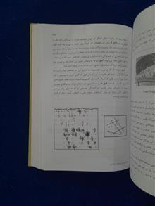 موسیقی