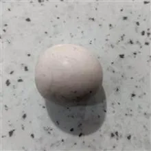 سنگ