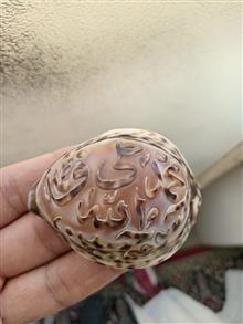 صدف