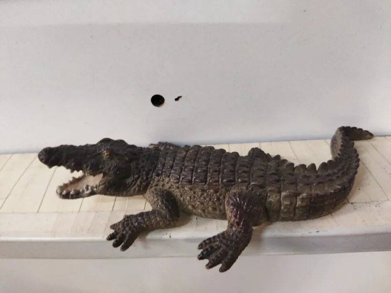 فیگور کروکدیل اشلایش