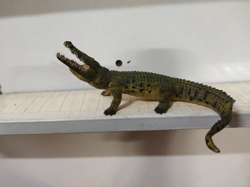 فیگور کروکدیل نیل