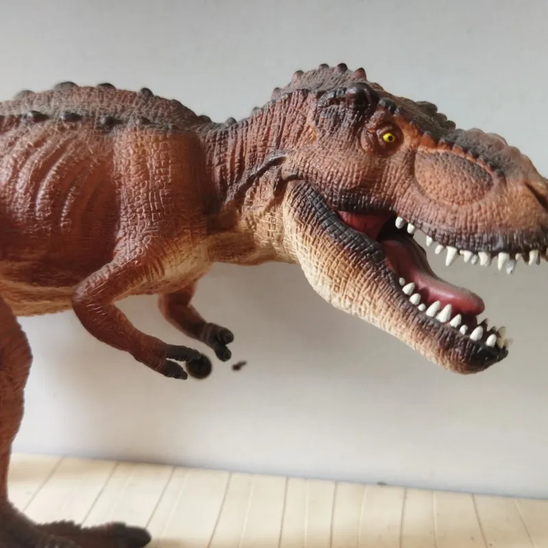 فیگور تیرکس موژو