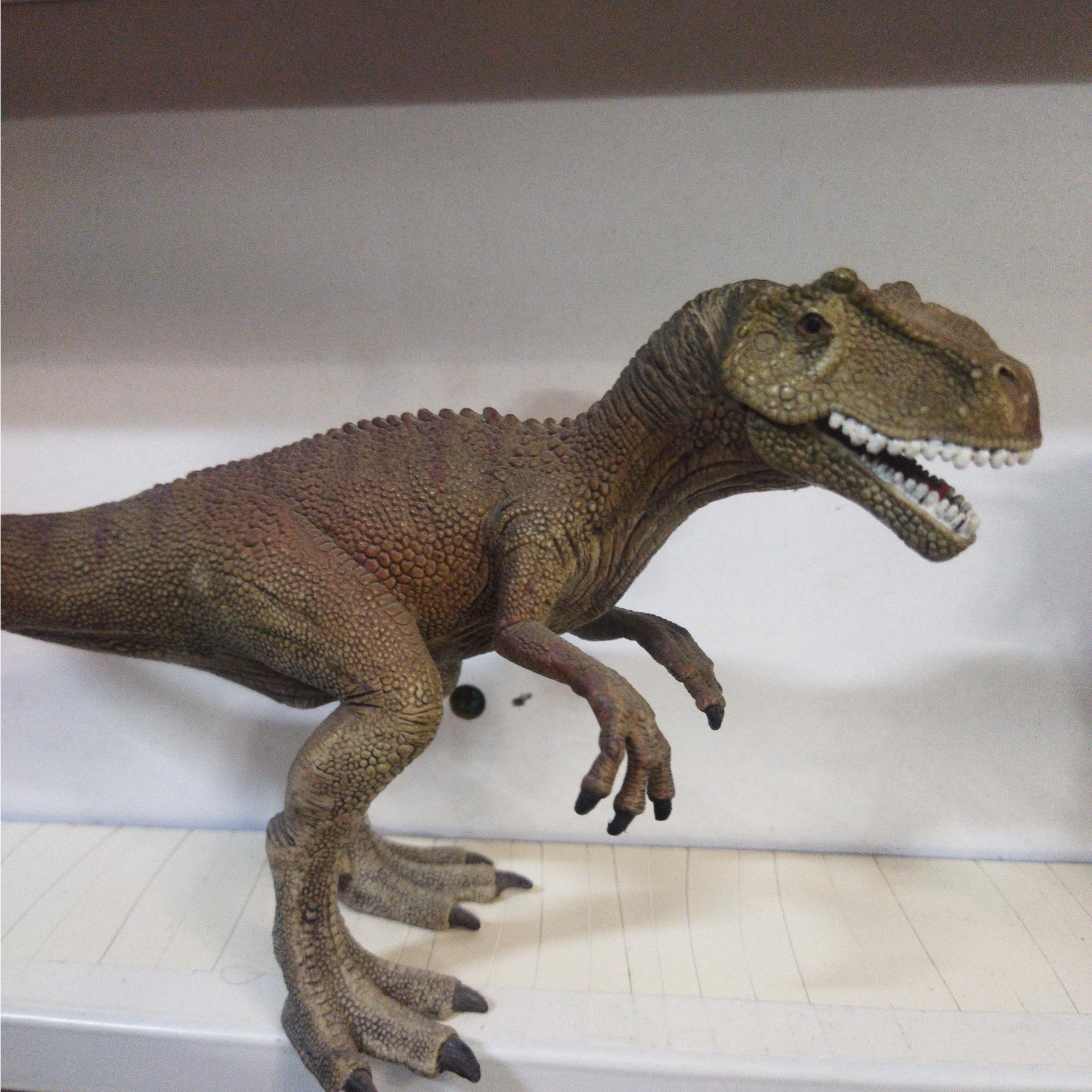 فیگور الاسورس اشلایش