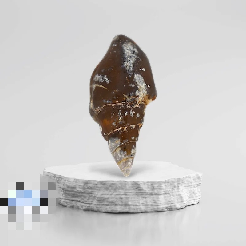 عرج معقق اصیل و کمیاب