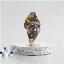 عرج