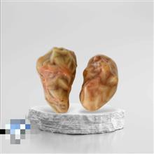 جفت