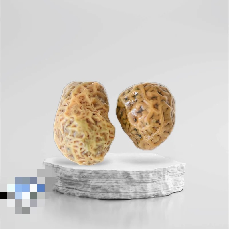 جفت زوعه خاص و کمیاب Z14