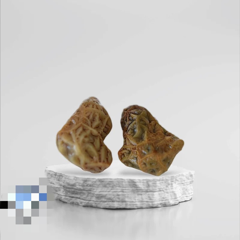جفت زوعه خاص و کمیاب Z15