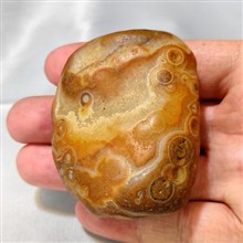 راف