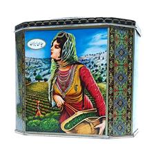 قوطی