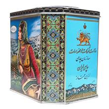 قوطی