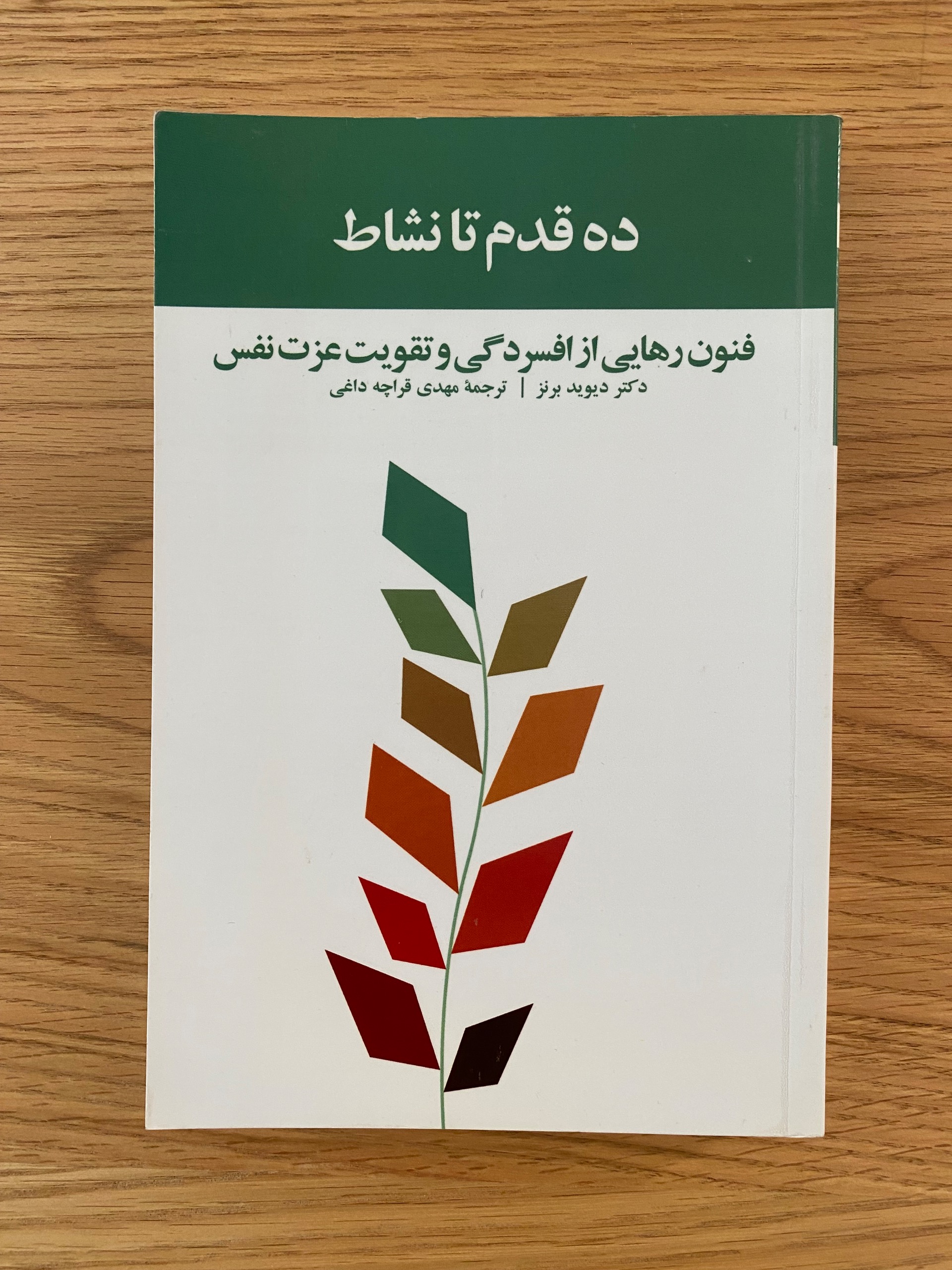 کتاب ده قدم تا نشاط