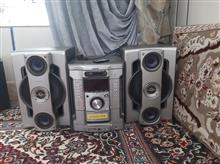 ظبط