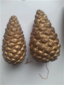میوه