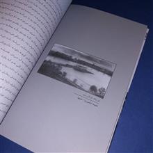 دومی