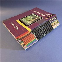 گزیده