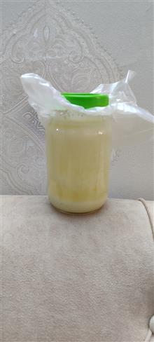 روغن