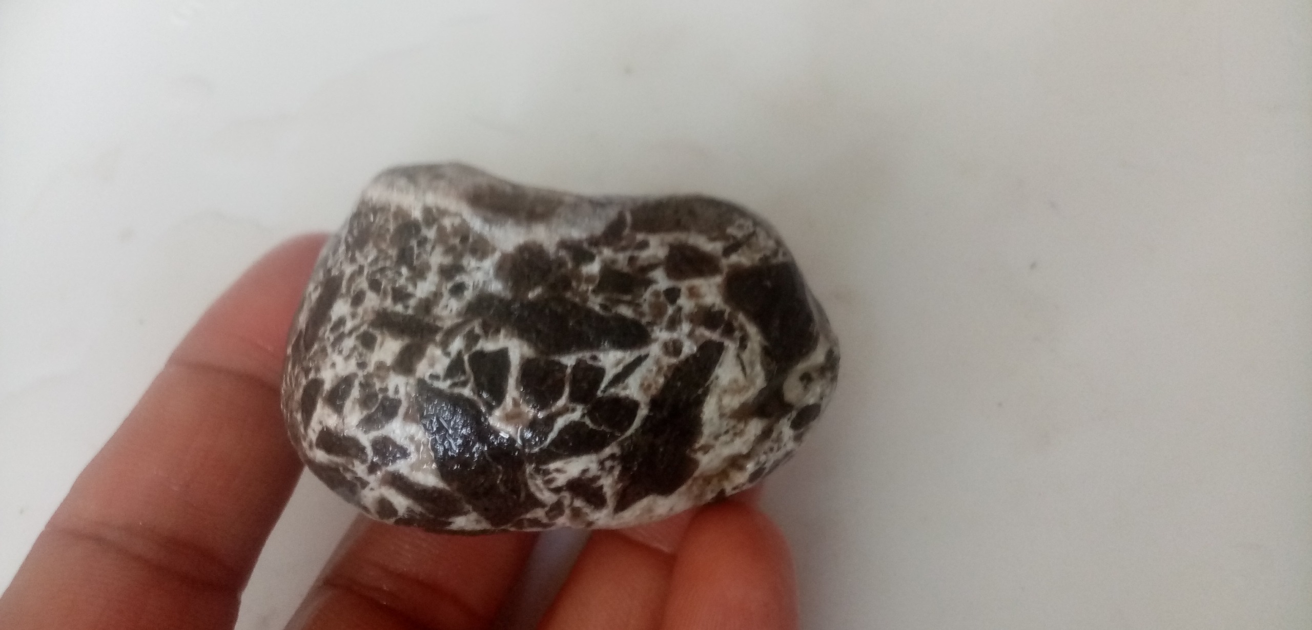 سنگ سپتارین مراکش