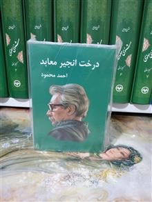 درخت