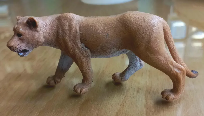 شیر ماده اشلایش