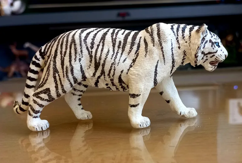 ببر اشلایش سفید