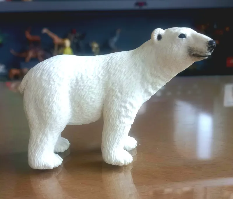 خرس قطبی اشلایش