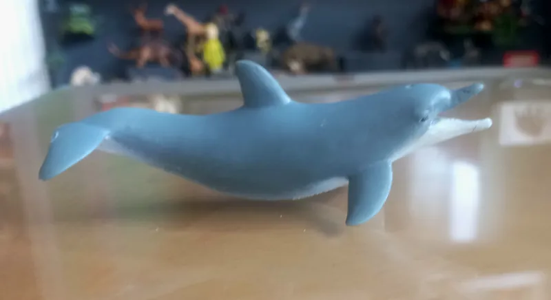 فیگور دلفین پاپو