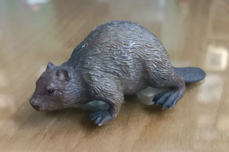 سگ آبی موجو