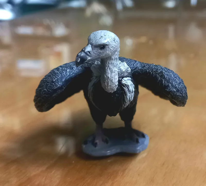 فیگور لاشخور موجو