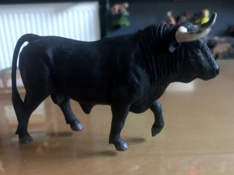 گاو اسپانیایی موجو