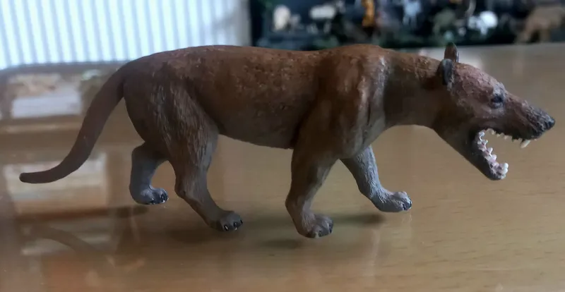 هیائدون ماقبل تاریخ موجو