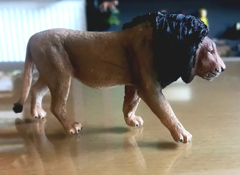 شیر نر موجو