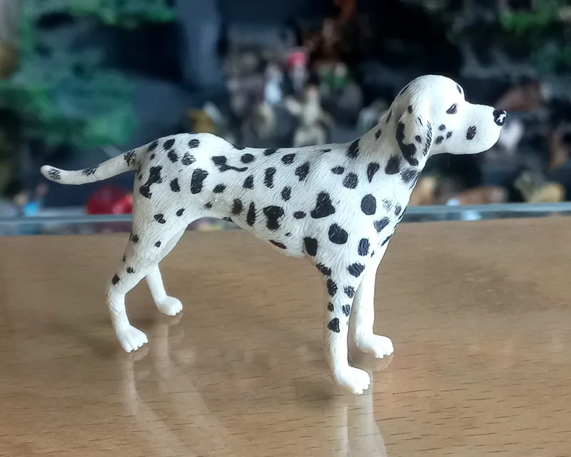 سگ خالدار کالکتا