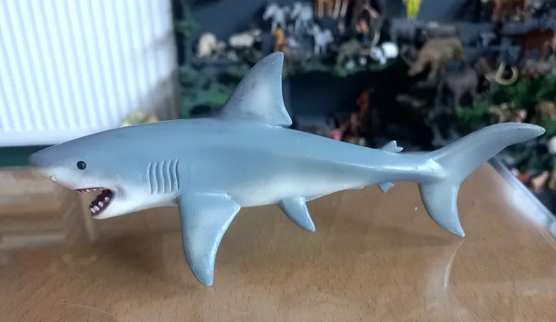 فیگور کوسه کالکتا